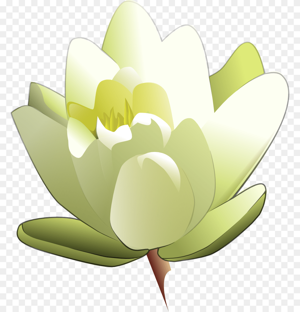 Onlinelabels Clip Art, Flower, Plant, Lily, Pond Lily Png