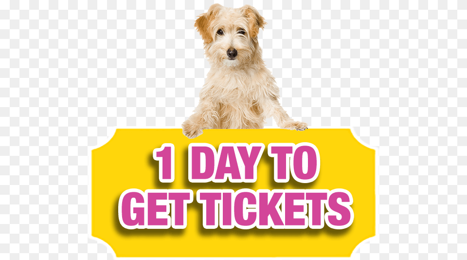 Only One Day Left To Buy Your Bc Spca Lottery, Animal, Canine, Dog, Mammal Free Png Download