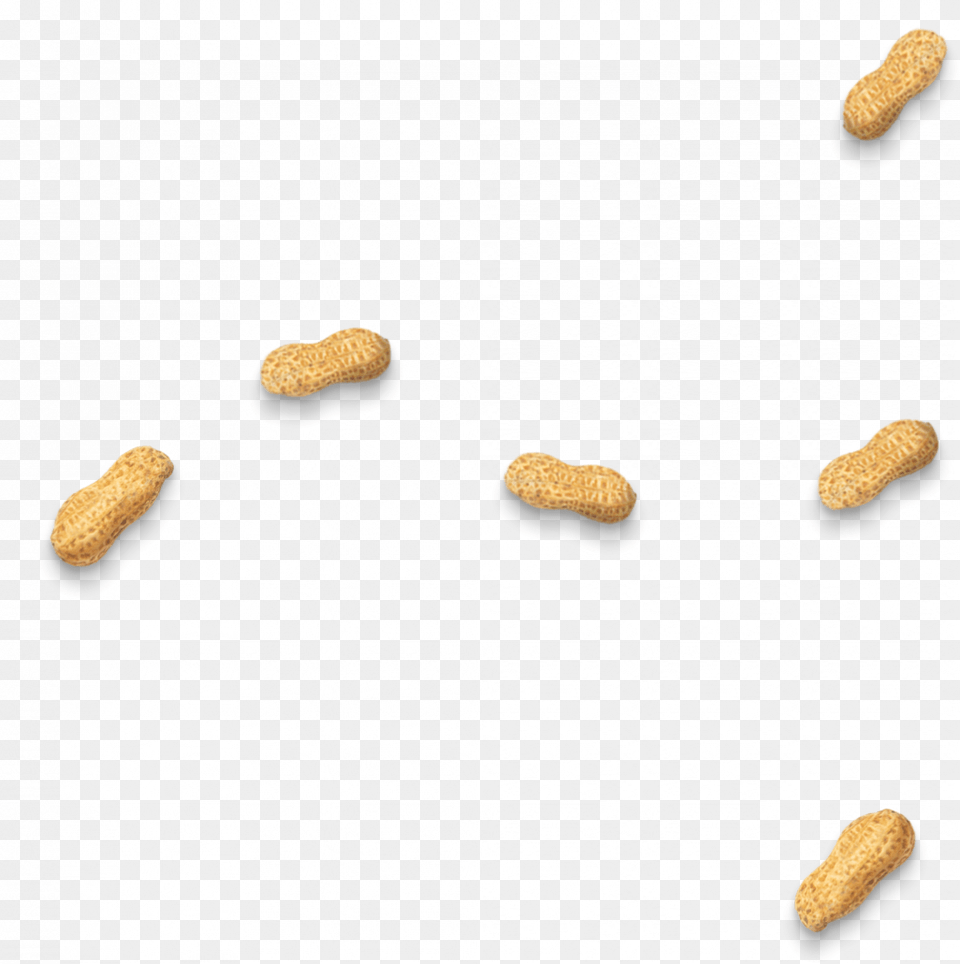 Only The Best Tasting Peanuts Here Biscotti, Food, Nut, Peanut, Plant Png Image