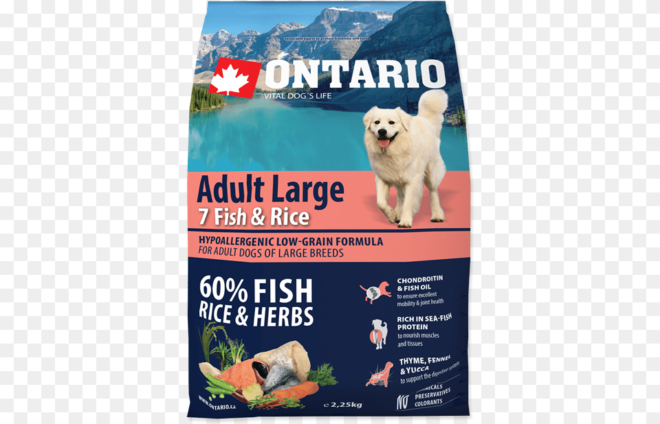 Ontario Adult Fish Amp Rice Large Breed 12 Kg, Advertisement, Poster, Animal, Canine Png Image