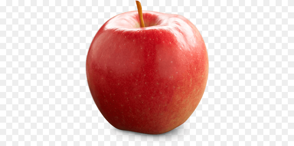 Ontario Apple Growers Types Of Apples In Ontario, Food, Fruit, Plant, Produce Free Png