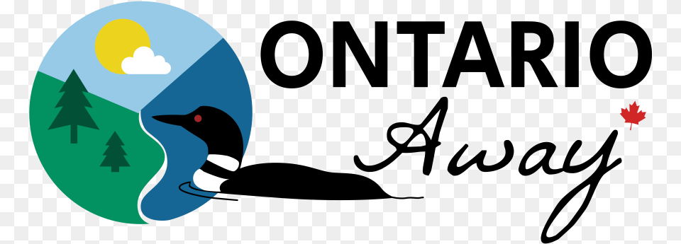 Ontario Away Loon, Animal, Beak, Bird Png Image