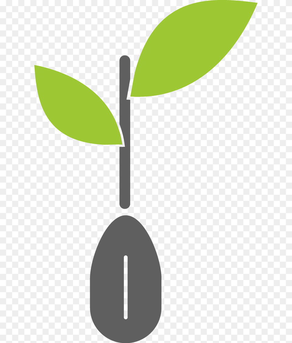 Ontario Co Operative Association, Cutlery, Leaf, Plant, Spoon Png