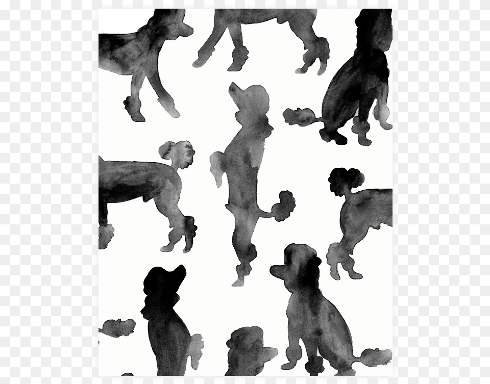 Oodles Of Poodles Watercolor Print Companion Dog, Silhouette, Baby, Person, Animal Free Png