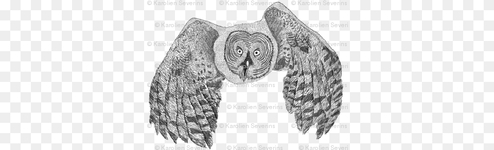 Ooievaar Met Tweeling Patroon Foto Thumb Flying Great Grey Owl Art Print Travel Mug, Text, Plant, Vegetation Free Png