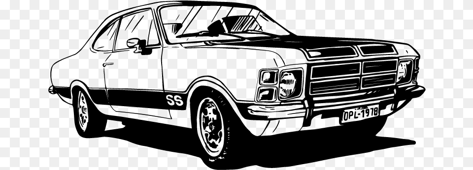 Opala Para Colorir, Gray Png