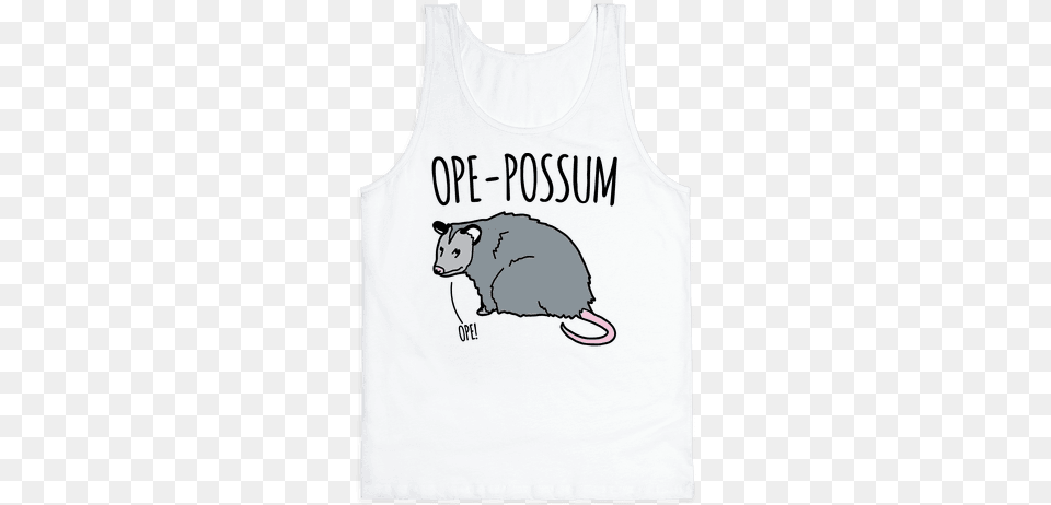 Ope Possum, Animal, Bear, Mammal, Wildlife Png