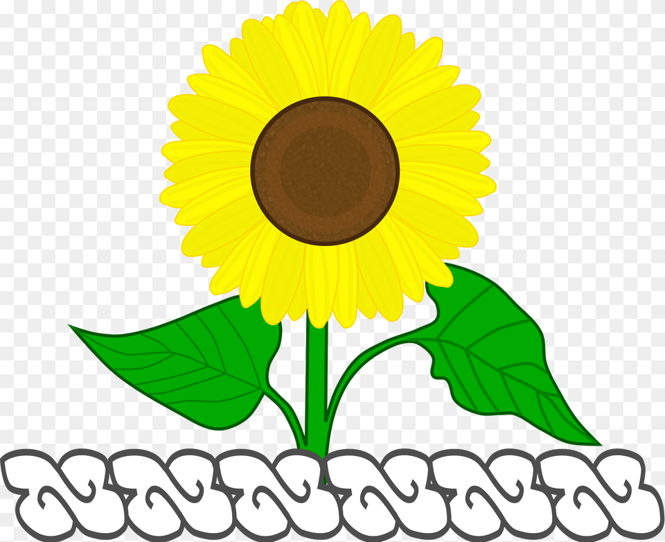 Open, Flower, Plant, Sunflower Free Png