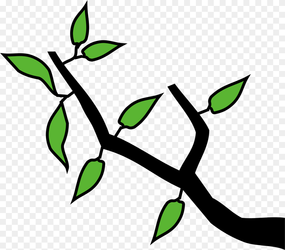 Open, Green, Leaf, Plant, Astronomy Png