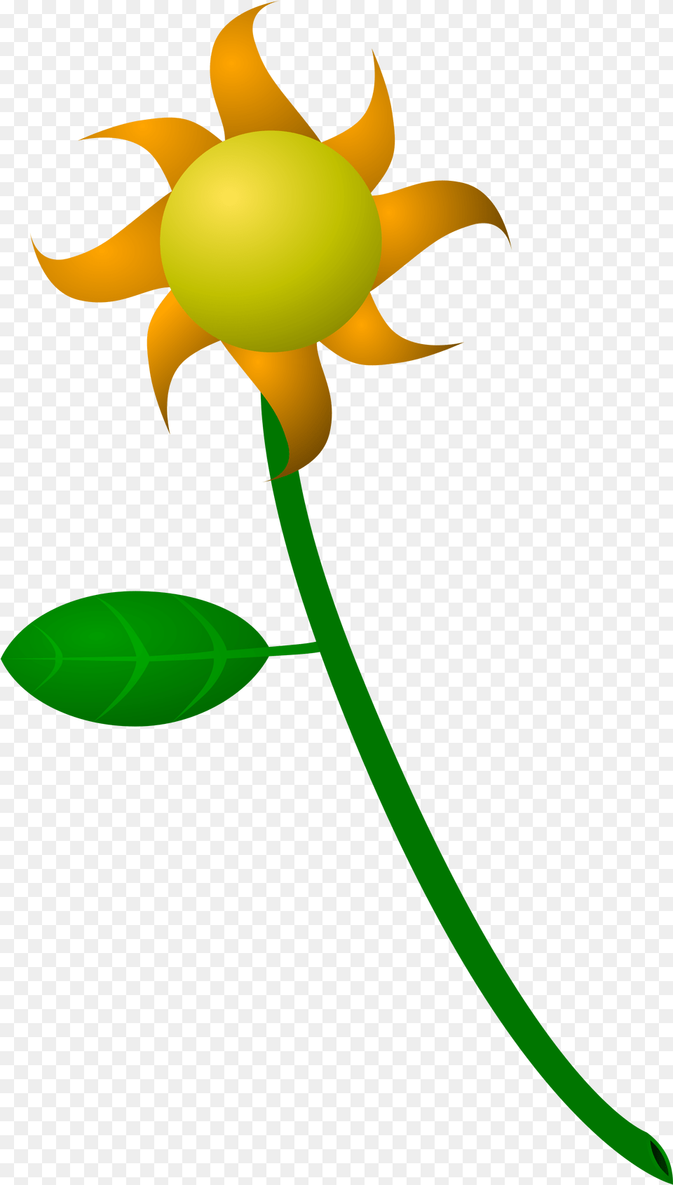 Open, Dahlia, Flower, Petal, Plant Png Image