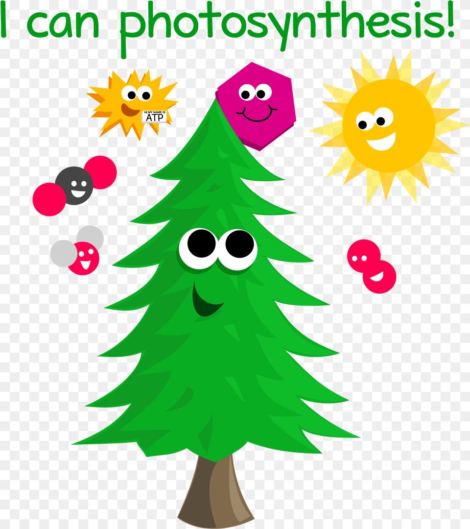 Open, Plant, Tree, Christmas, Christmas Decorations Png Image