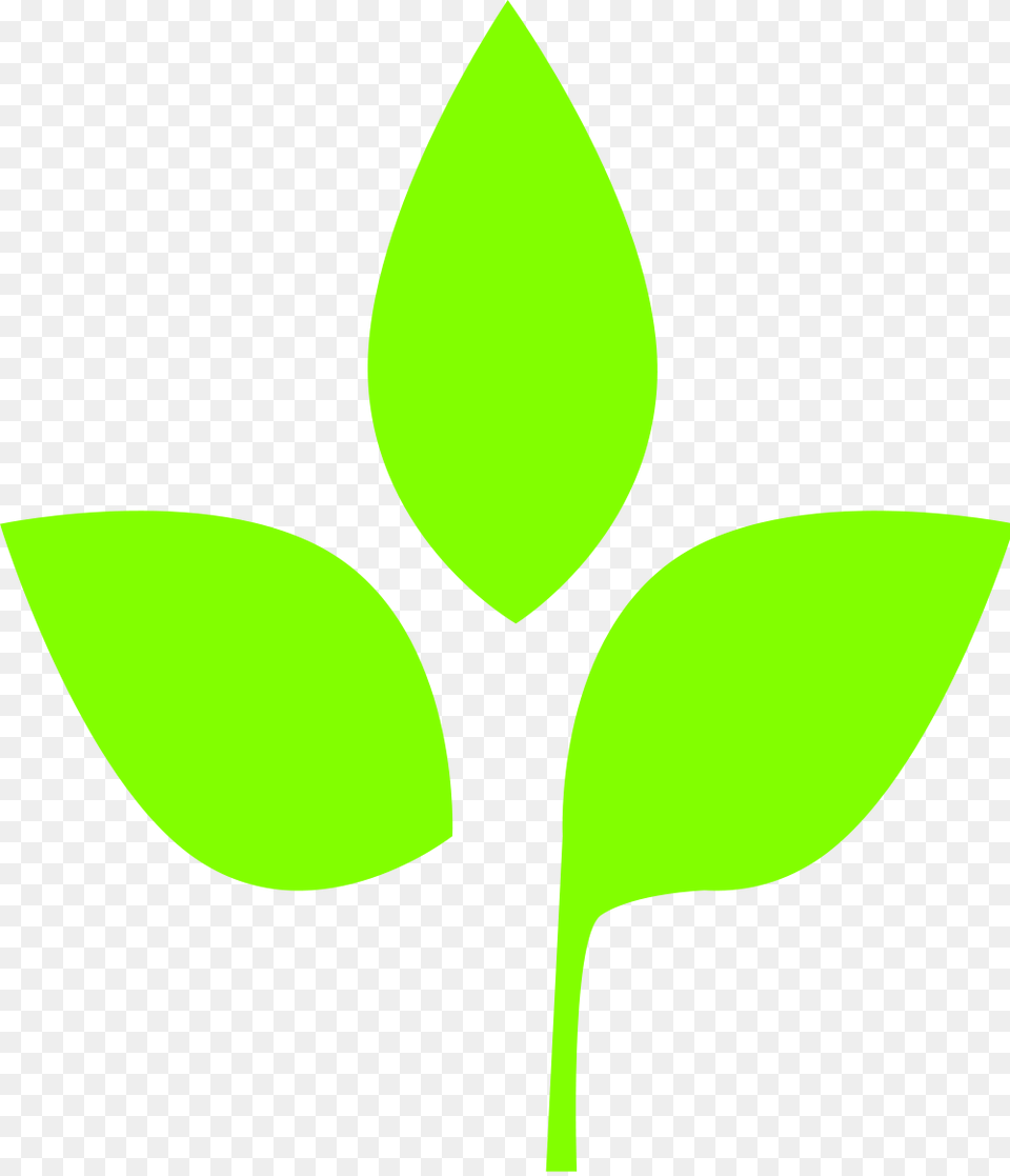 Open 3 Leaves Vector, Plant, Green, Leaf, Herbal Free Transparent Png