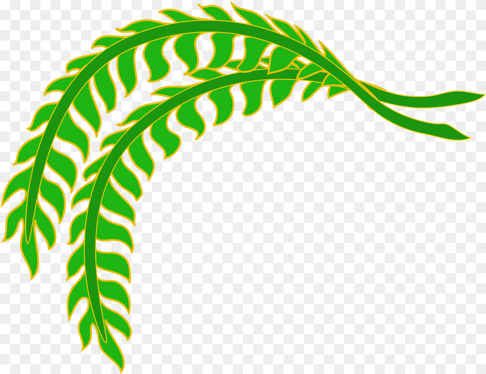 Open, Fern, Leaf, Plant, Green Png Image
