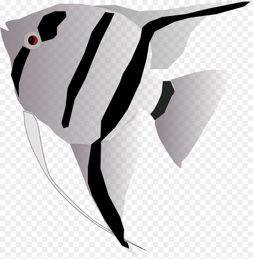 Open Angel Fish Svg, Angelfish, Animal, Sea Life, Baby Png Image