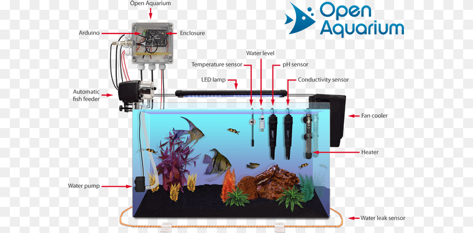 Open Aquarium Consists Of Two Different And Complementary Arduino Aquarium, Animal, Fish, Sea Life, Water Free Png