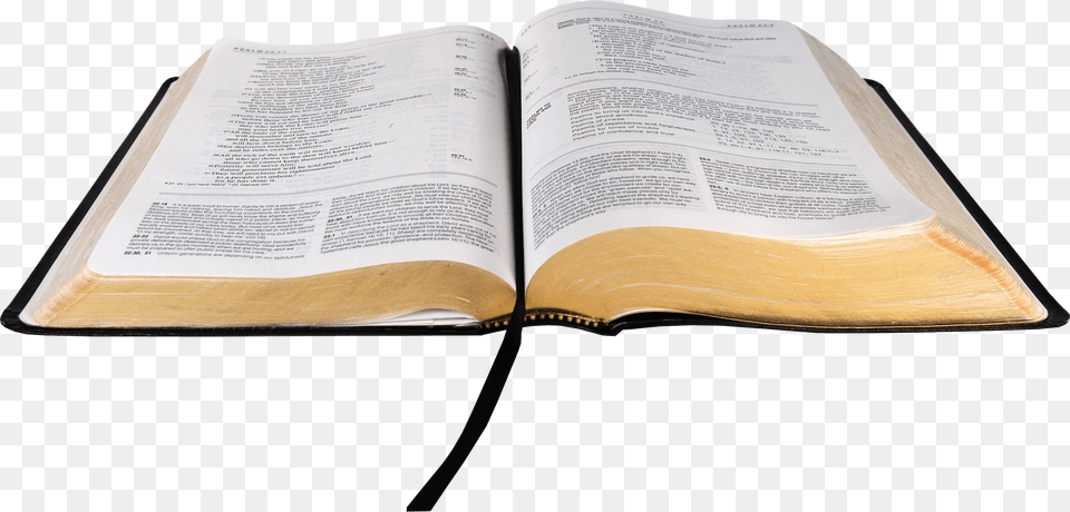 Open Bible, Book, Page, Person, Publication Free Png