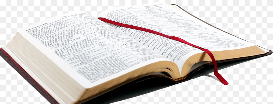 Open Bible Bible Images Hd, Book, Page, Person, Publication Png Image