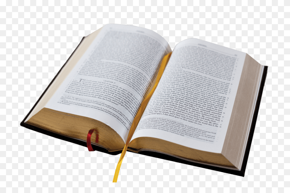 Open Bible Book, Page, Person, Publication, Reading Free Png