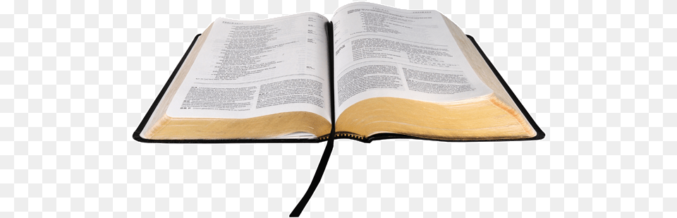 Open Bible No Background, Book, Page, Person, Publication Png