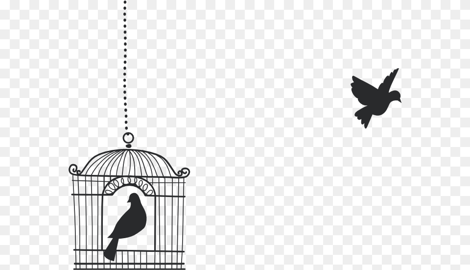 Open Bird Cage Birds Flying From Cage, Animal Free Transparent Png