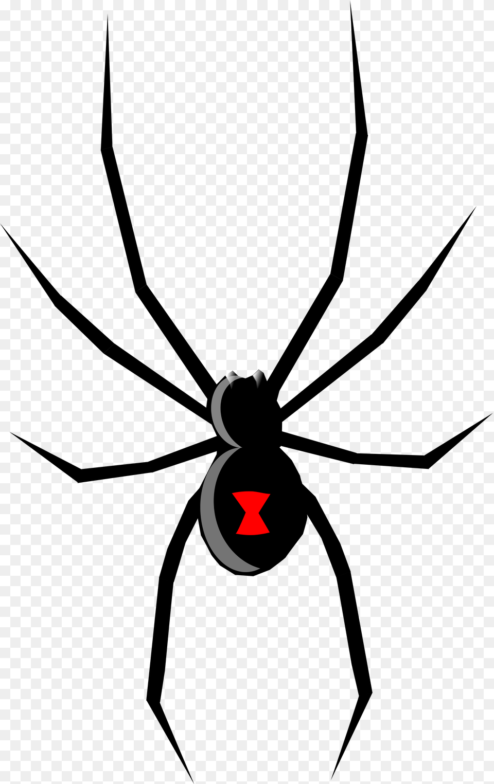 Open Black Widow Spider Cartoon, Logo, Animal, Invertebrate Png Image