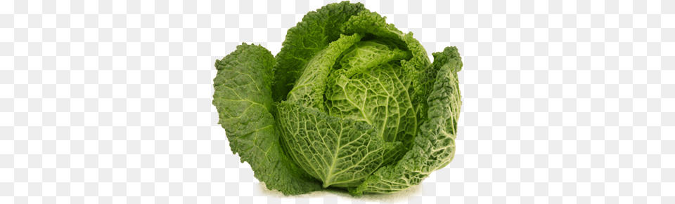 Open Cabbage, Food, Produce, Leafy Green Vegetable, Plant Free Transparent Png