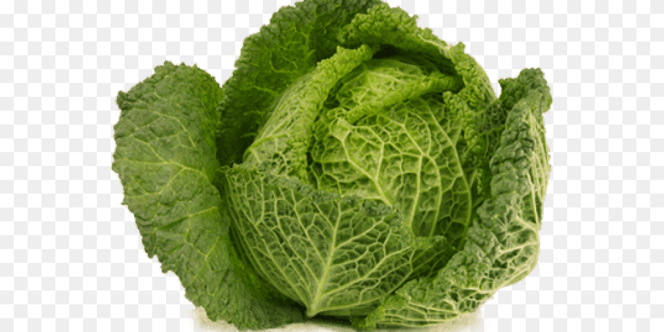 Open Cabbage Transparent Kapusta, Food, Leafy Green Vegetable, Plant, Produce Free Png Download