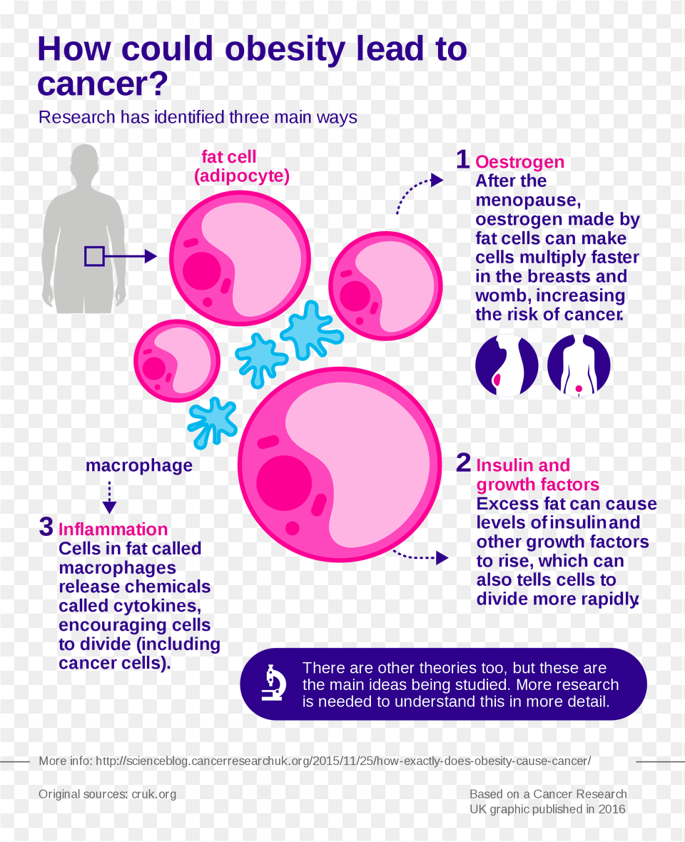 Open Cancer Research Uk Obesity, Advertisement, Poster, Adult, Person Free Transparent Png