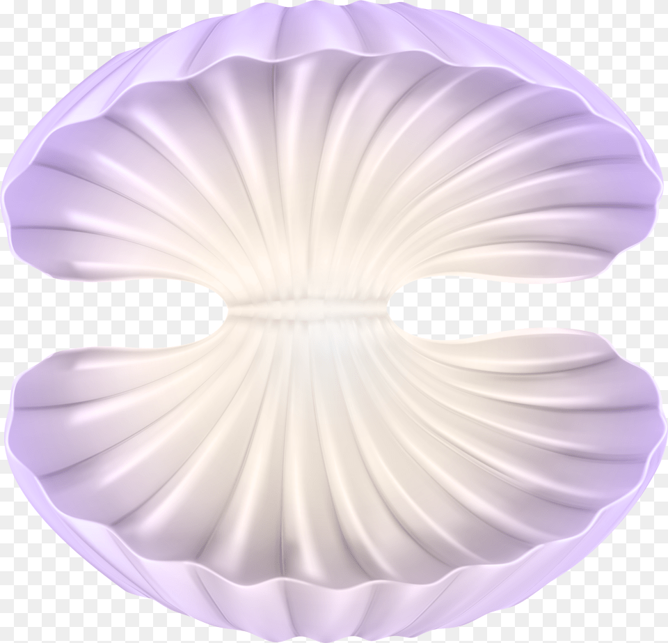 Open Clam Shell Clipart Scallop Free Png Download