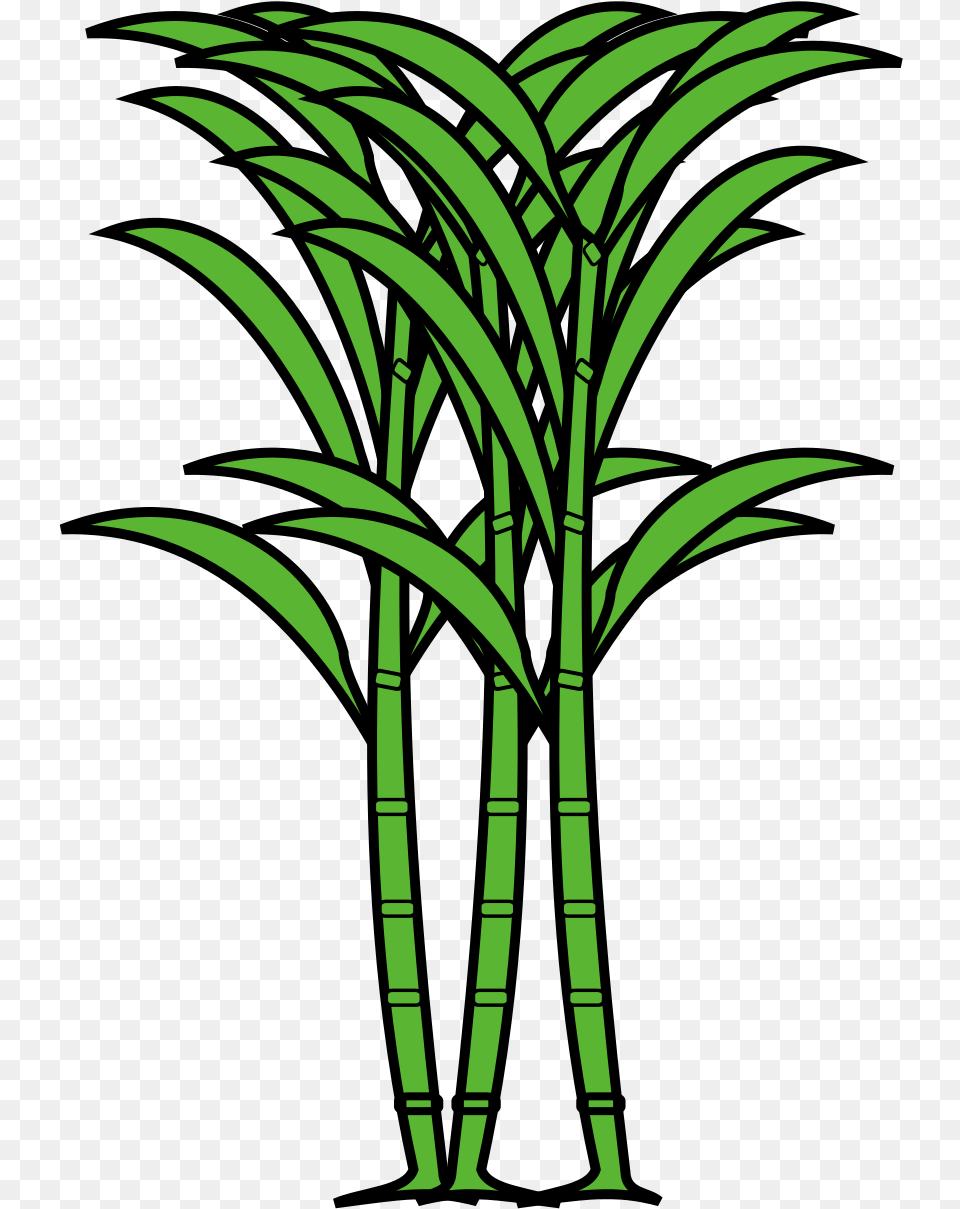Open Clip Art, Plant, Bamboo Png