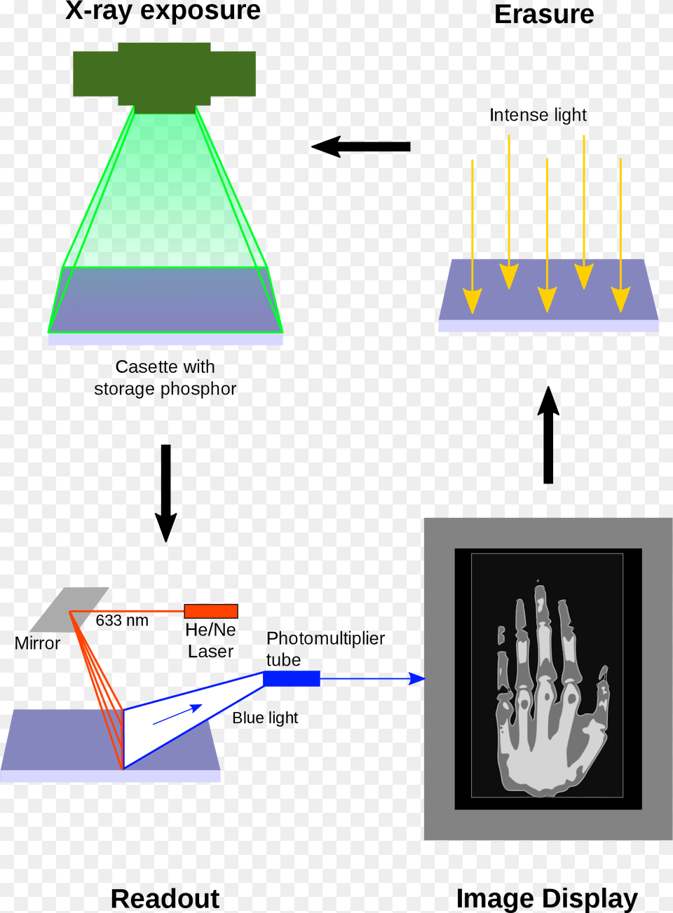 Open Computed Radiography, Electronics, Hardware, Person, Computer Hardware Free Png Download