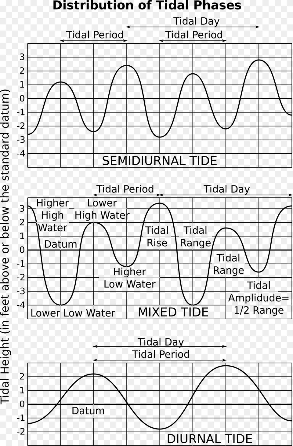 Open Diurnal Tides, Text Free Transparent Png