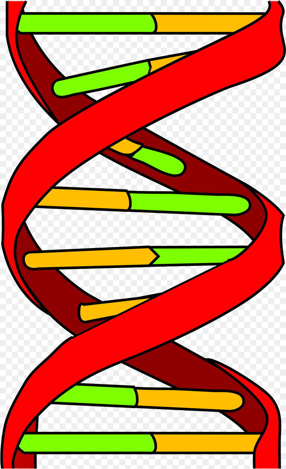 Open Dna Icon, Coil, Spiral, Dynamite, Weapon Free Png Download