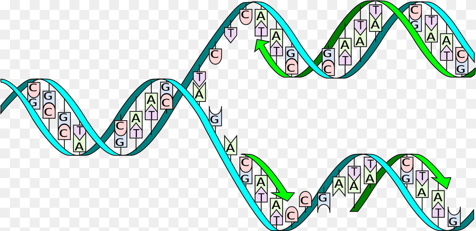 Open Dna Replication, Dynamite, Weapon, Text Free Png