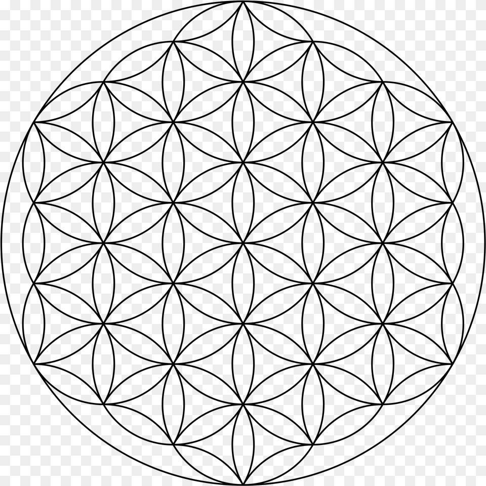 Open Flower Of Life, Gray Png Image