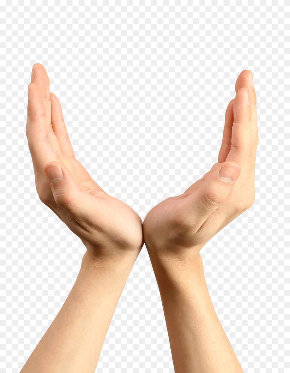 Open Hand, Body Part, Finger, Person, Adult Png Image