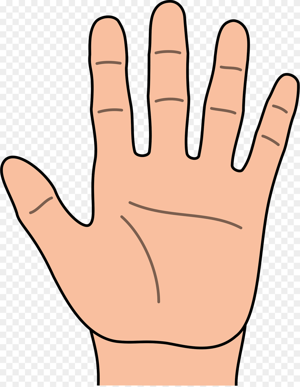 Open Hand Palm Side Clipart, Body Part, Clothing, Finger, Glove Free Png