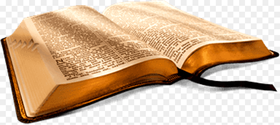 Open Holy Bible, Book, Page, Publication, Text Free Png
