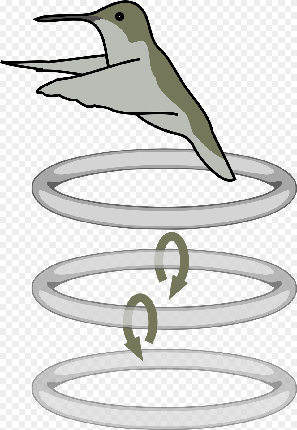 Open Hummingbird Flaps Diagram, Coil, Spiral, Animal, Bird Free Png