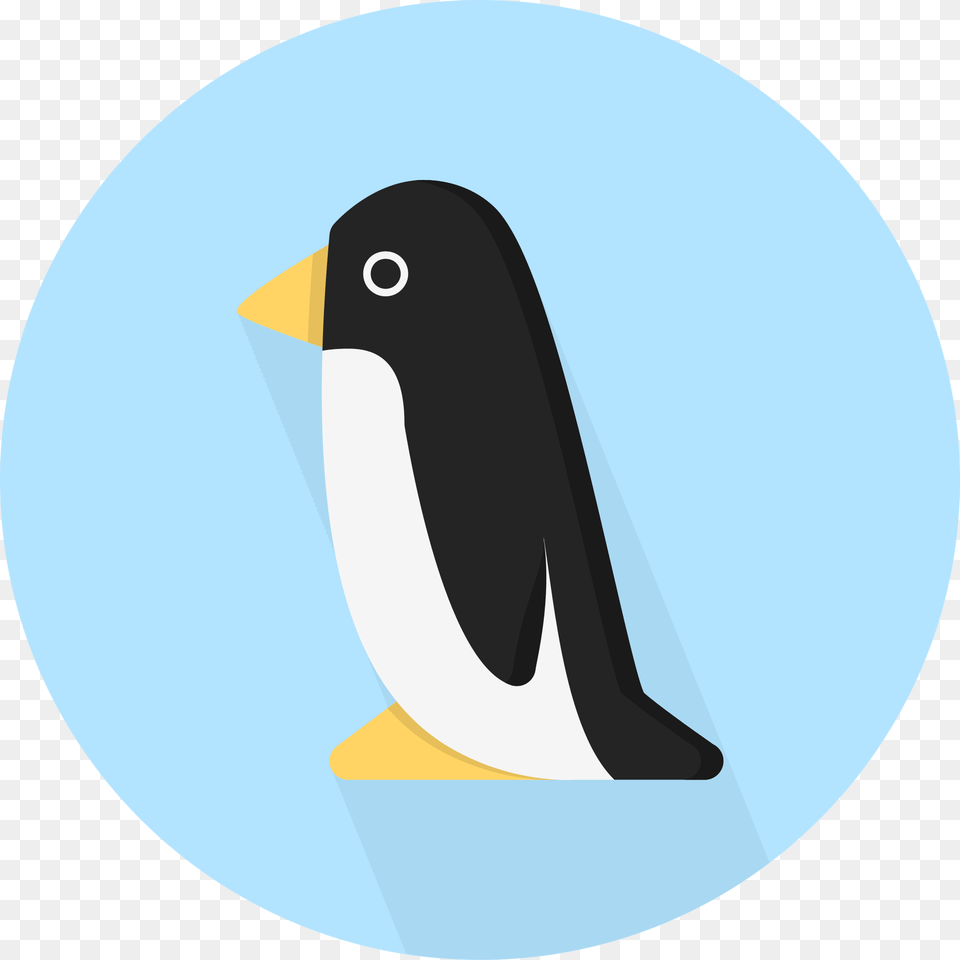 Open Instagram Penguin, Animal, Bird, Disk, Fish Free Png Download