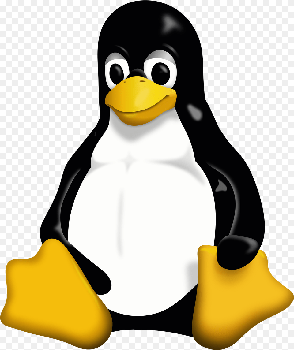 Open Linux Penguin, Animal, Bird, Nature, Outdoors Png