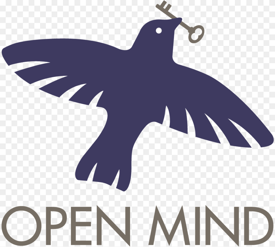 Open Mind Strategy, Animal, Bird, Blackbird Free Png