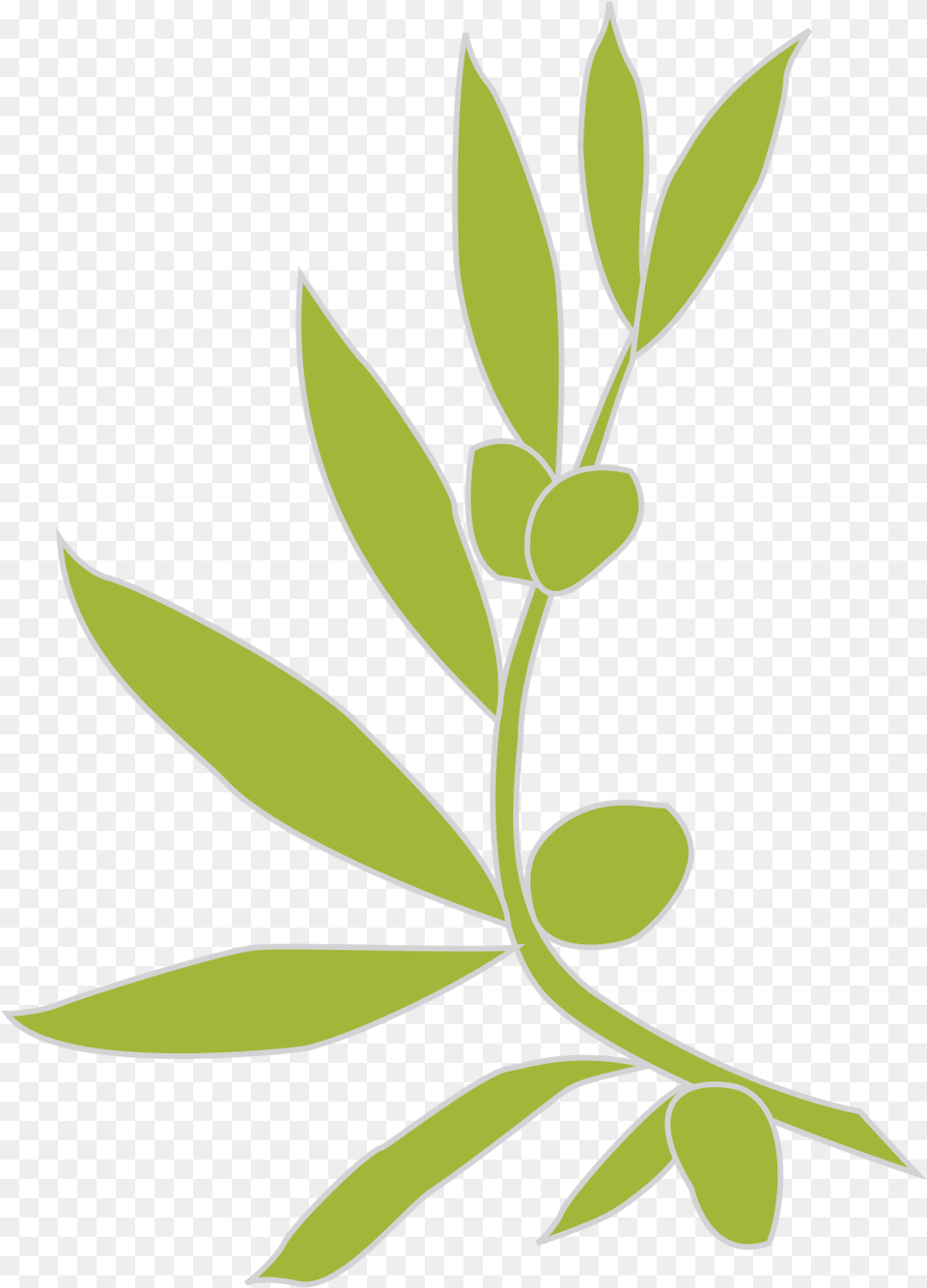 Open Olive Branch Heraldry, Herbs, Herbal, Plant, Leaf Png Image