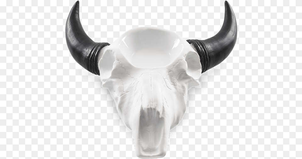 Open Plains Scentsy Warmer Scentsy Bull Skull Warmer, Animal, Mammal, Pottery, Art Free Png