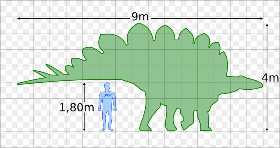 Open Stegosaurus Human, Silhouette, Green, Person, Chart Free Transparent Png