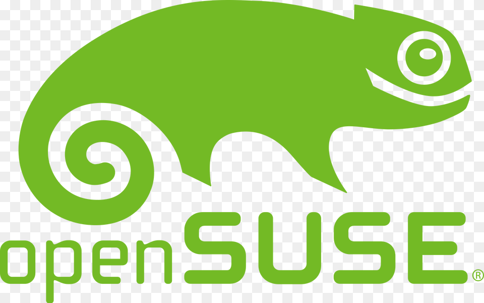 Open Suse, Animal, Green, Lizard, Reptile Free Transparent Png