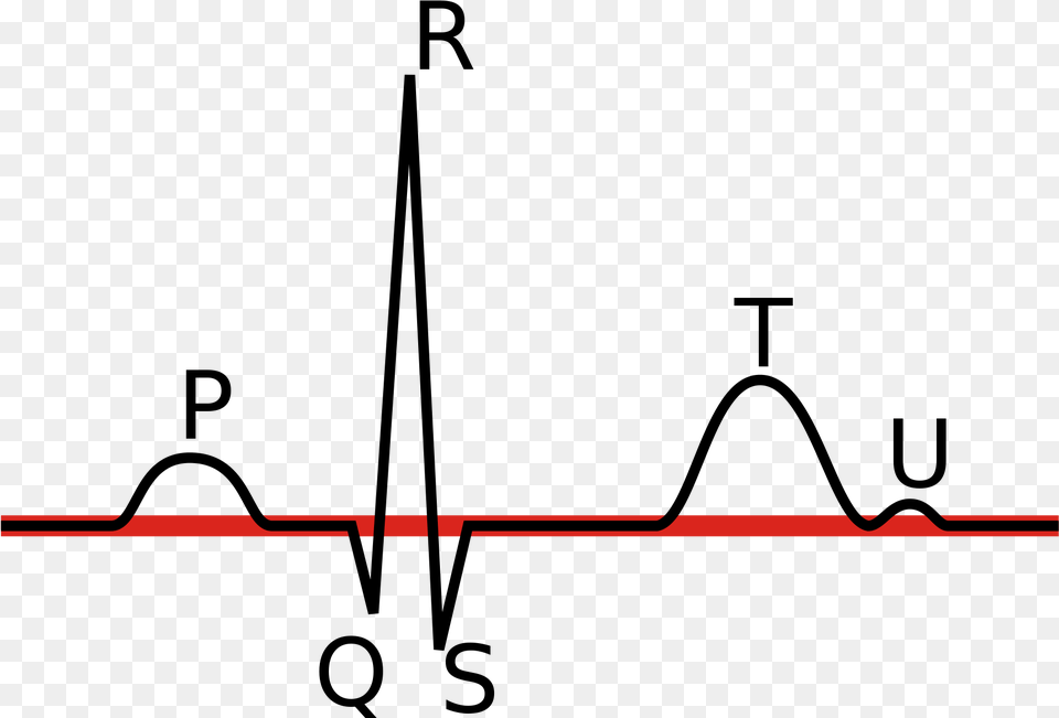 Open Vector Espacial Del Complejo Qrs Free Png Download