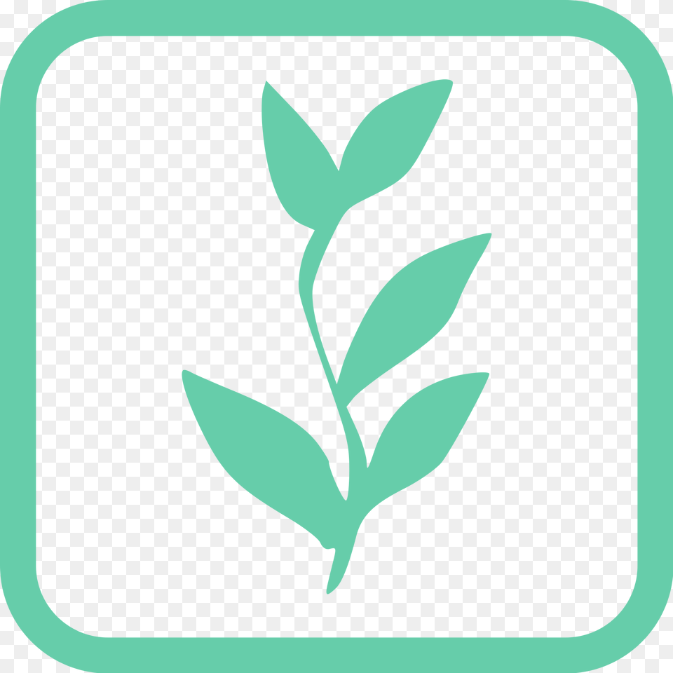 Open Wikimedia Commons, Herbal, Herbs, Leaf, Plant Free Transparent Png