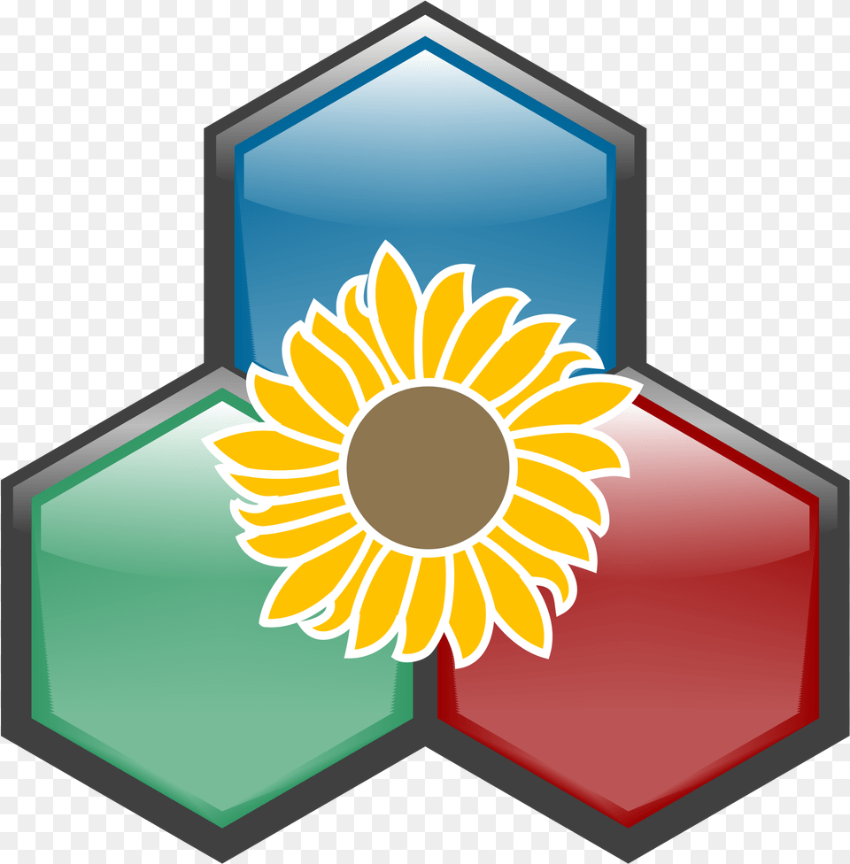 Open Wikipedia, Daisy, Flower, Plant Png