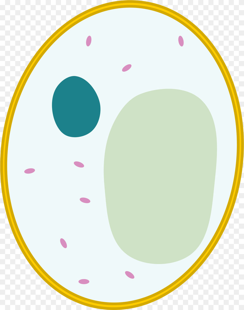 Open Yeast Cell Without Labels, Paper, Disk Png